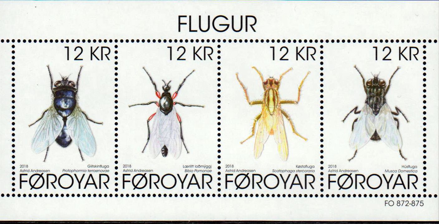 Block: Fliegen 2018