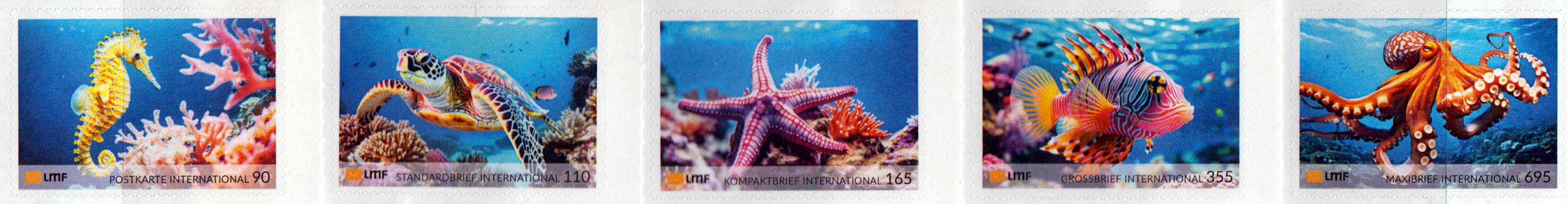 Unterwasserwelt 2024
