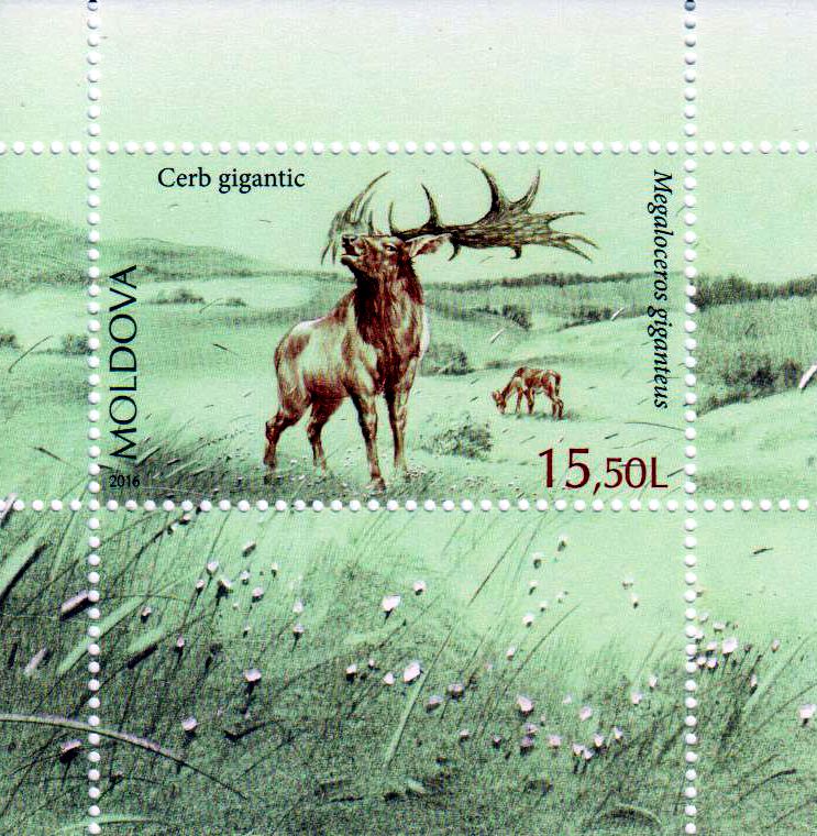 Block: Bedrohte Tiere, Hirsch