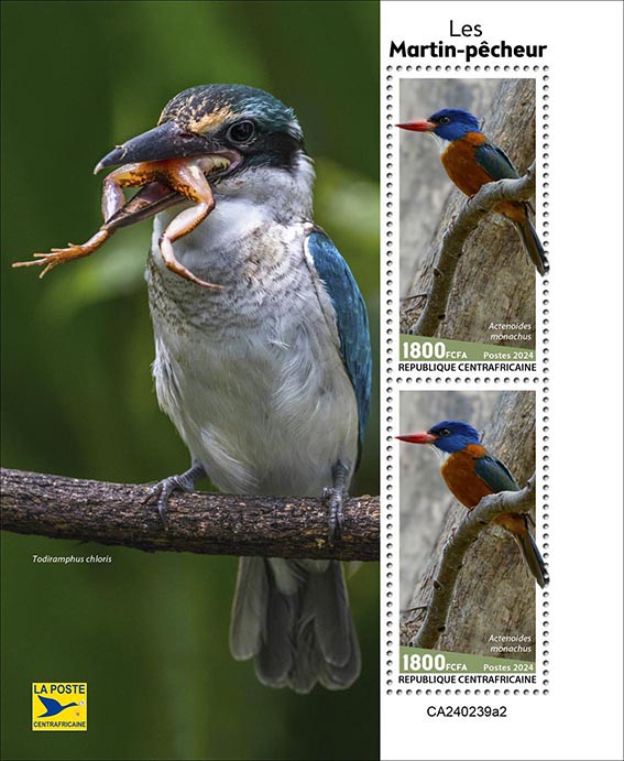 Block: Eisvogel II 2024