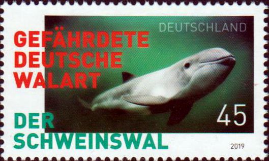 Der Schweinswal 2019