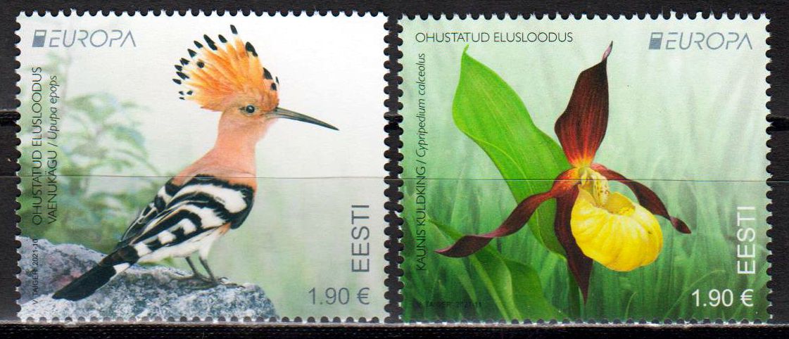 Europa 2021, Orchidee, Vogel