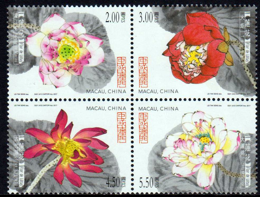 Lotusblumen