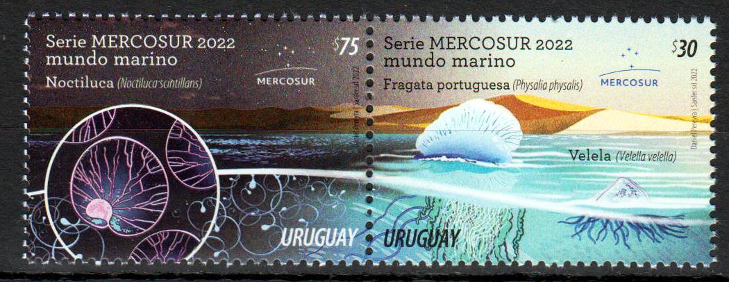 Mercosur 2022, Meereswelt