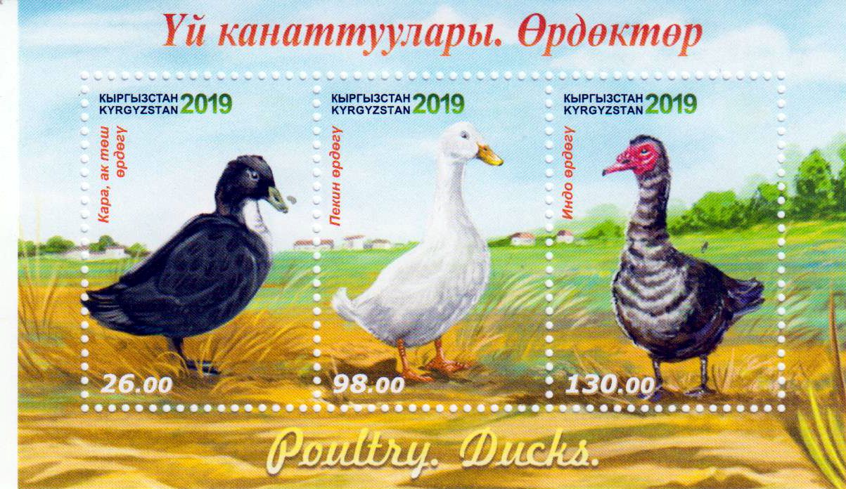 Block: Enten 32019