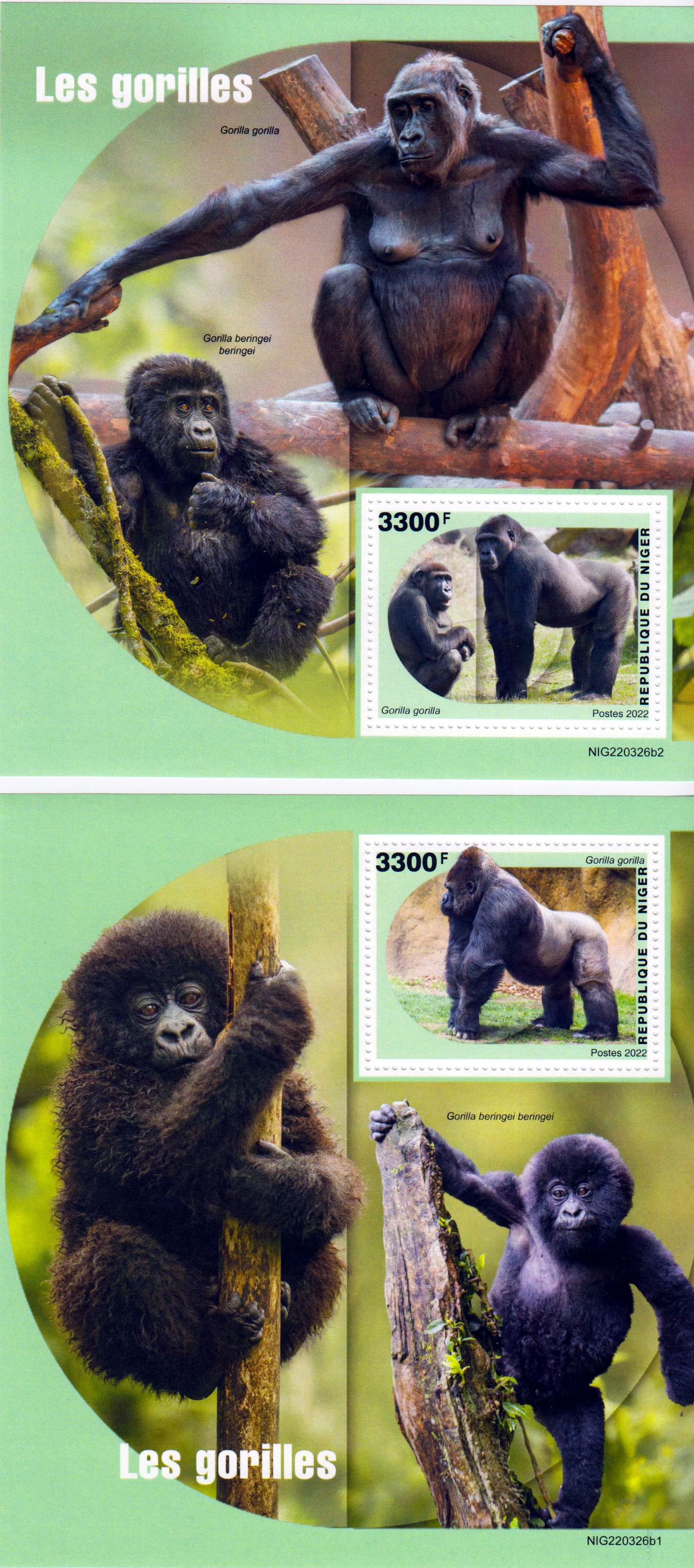 Block: Gorillas 2022