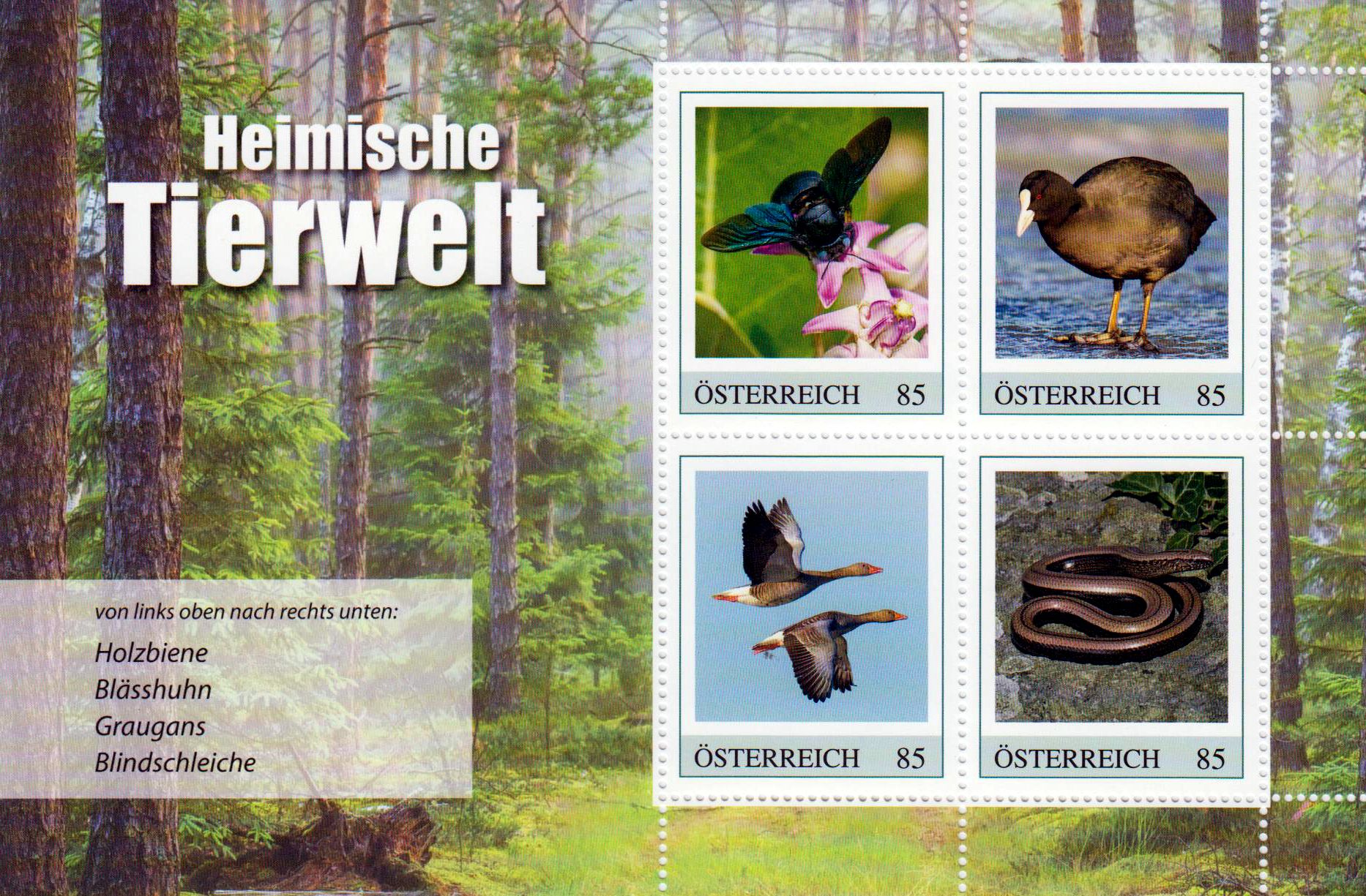 Block: Heimische Tierwelt 2021, Holzbiene, Blässhuhn usw.
