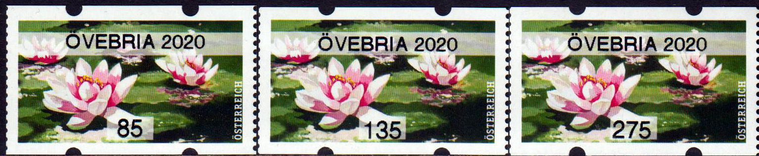 Seerose 2020, mit Aufdruck "ÖVEBRIA 2020"