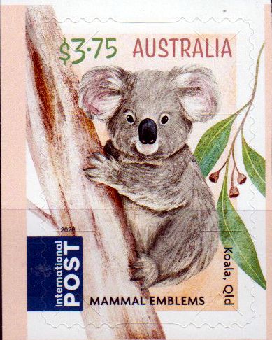 Säugetiere 2026, Koala