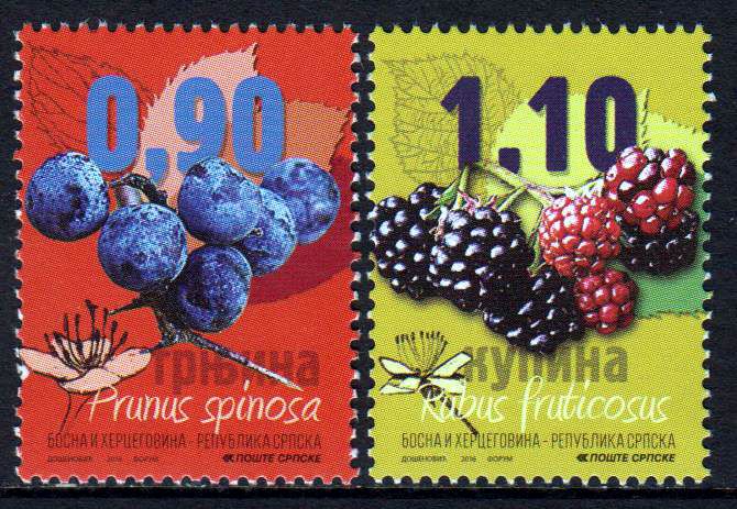 Dauer: Obst 2016 (P01)