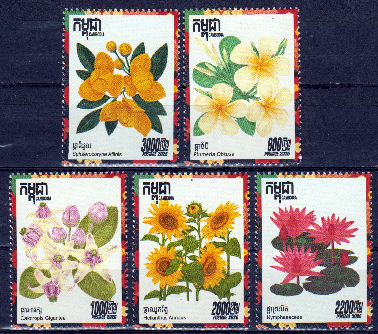 Blumen 2026, Seerose, Sonnenblume