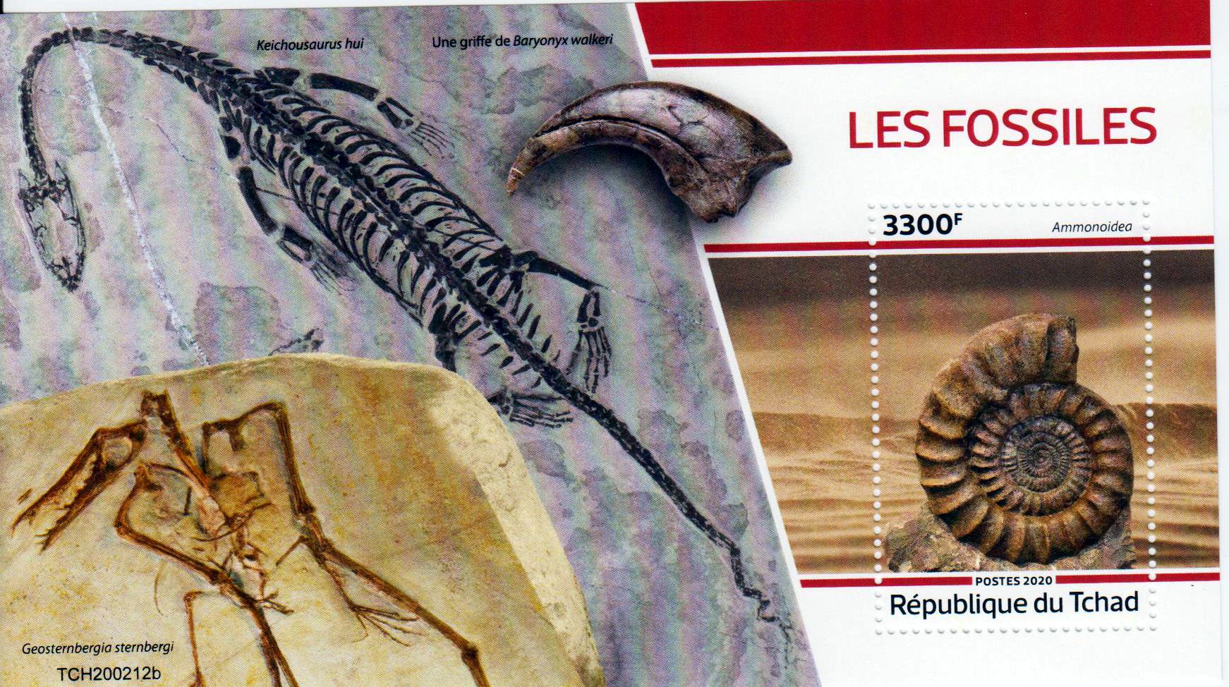 Block: Fossilien 2020