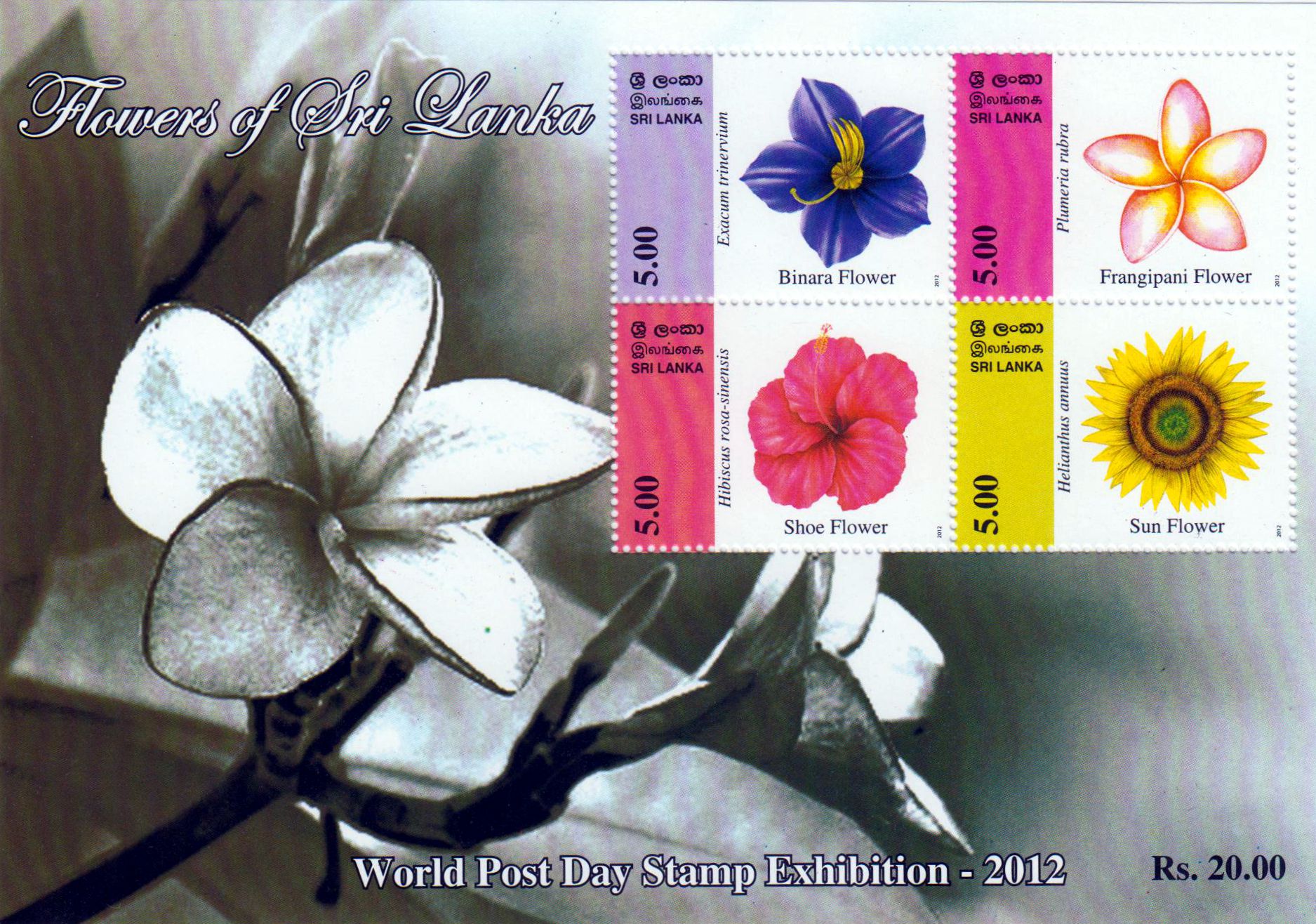 Block: Blumen 2012