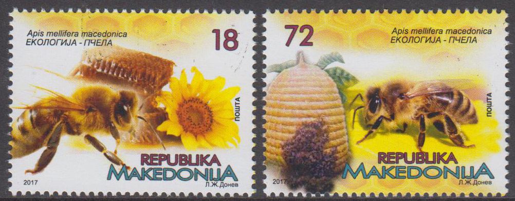 Bienen 2017