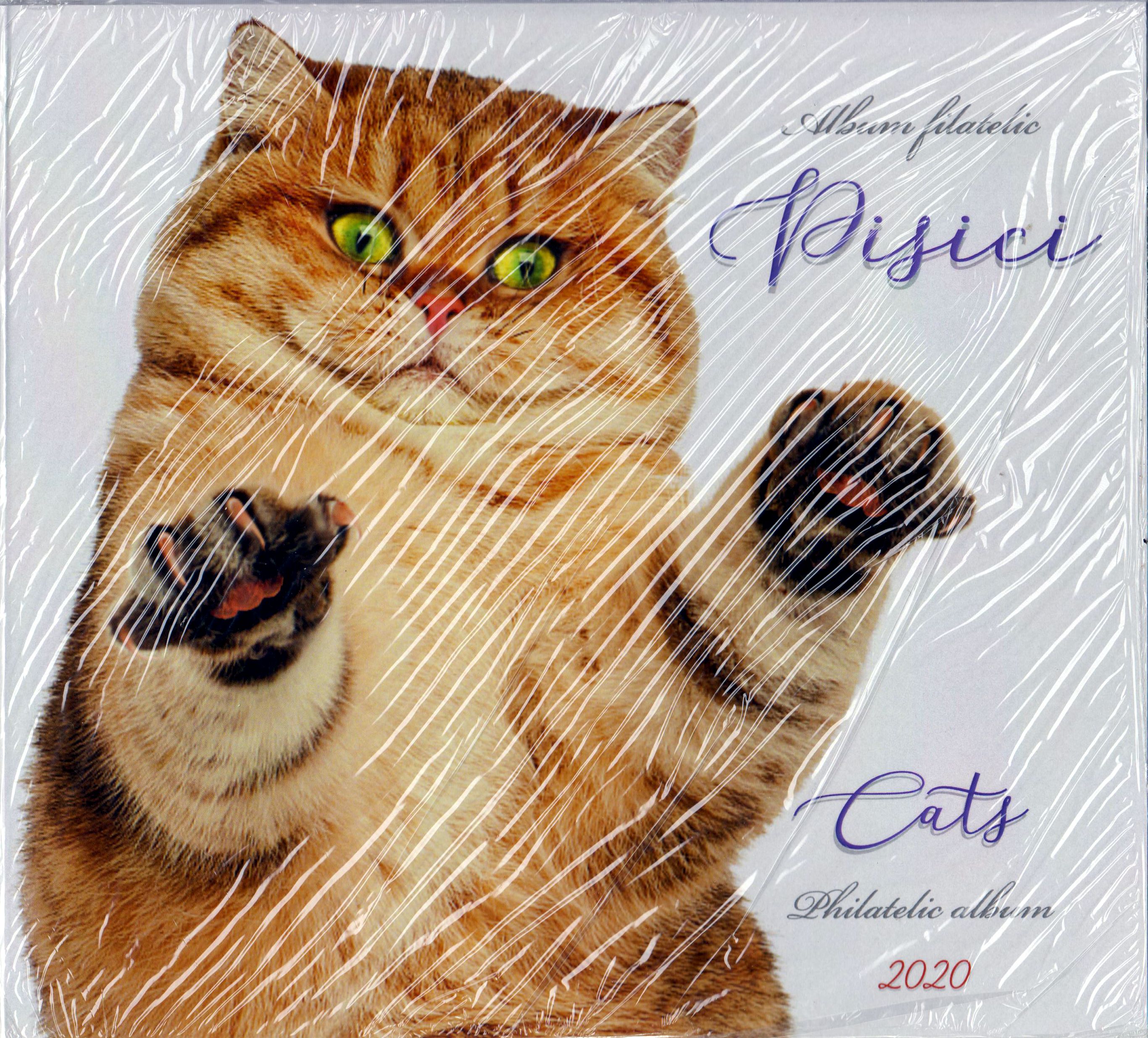 Folder: Katzen 2020
