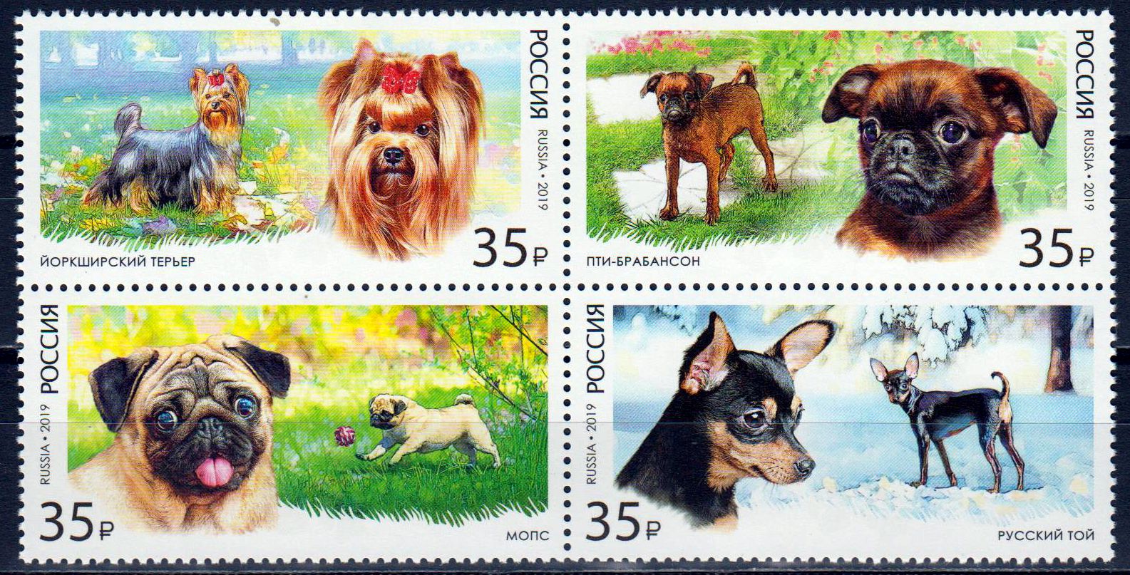 Schoßhunde 2019