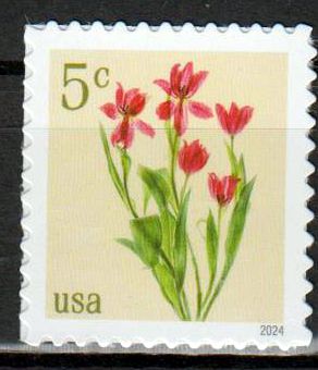 Dauer: Rote Tulpen 2024, 5c, sk