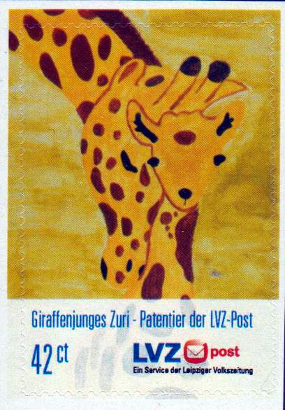 Giraffenjunges Zuri 2012