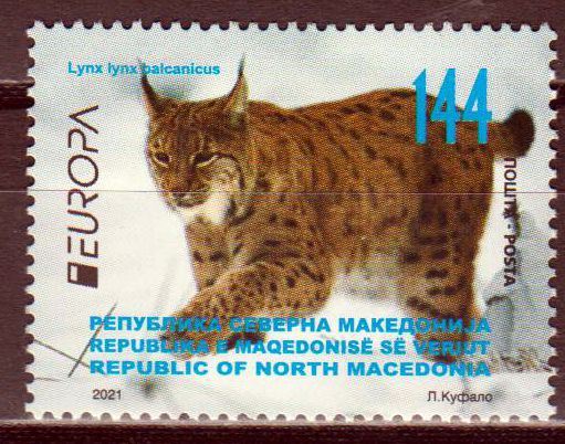 Europa 2021, Luchs