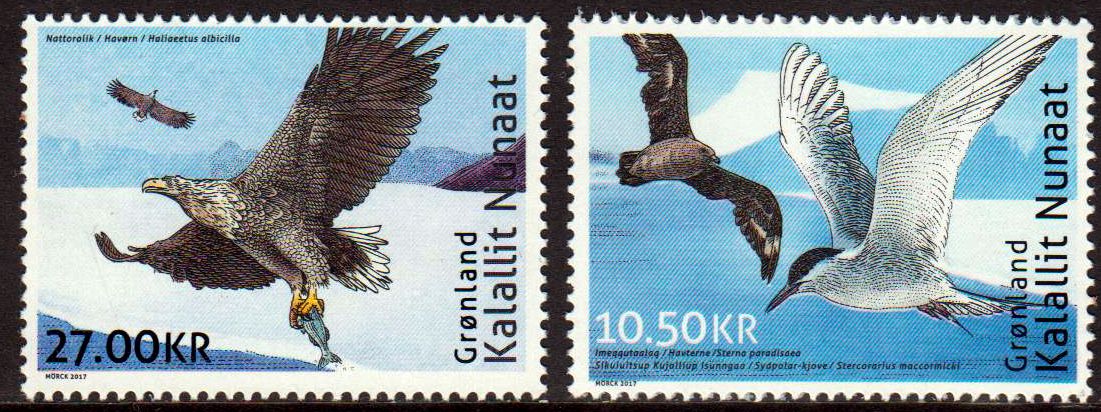 Vögel, TAAF, Möwe, Adler  GA
