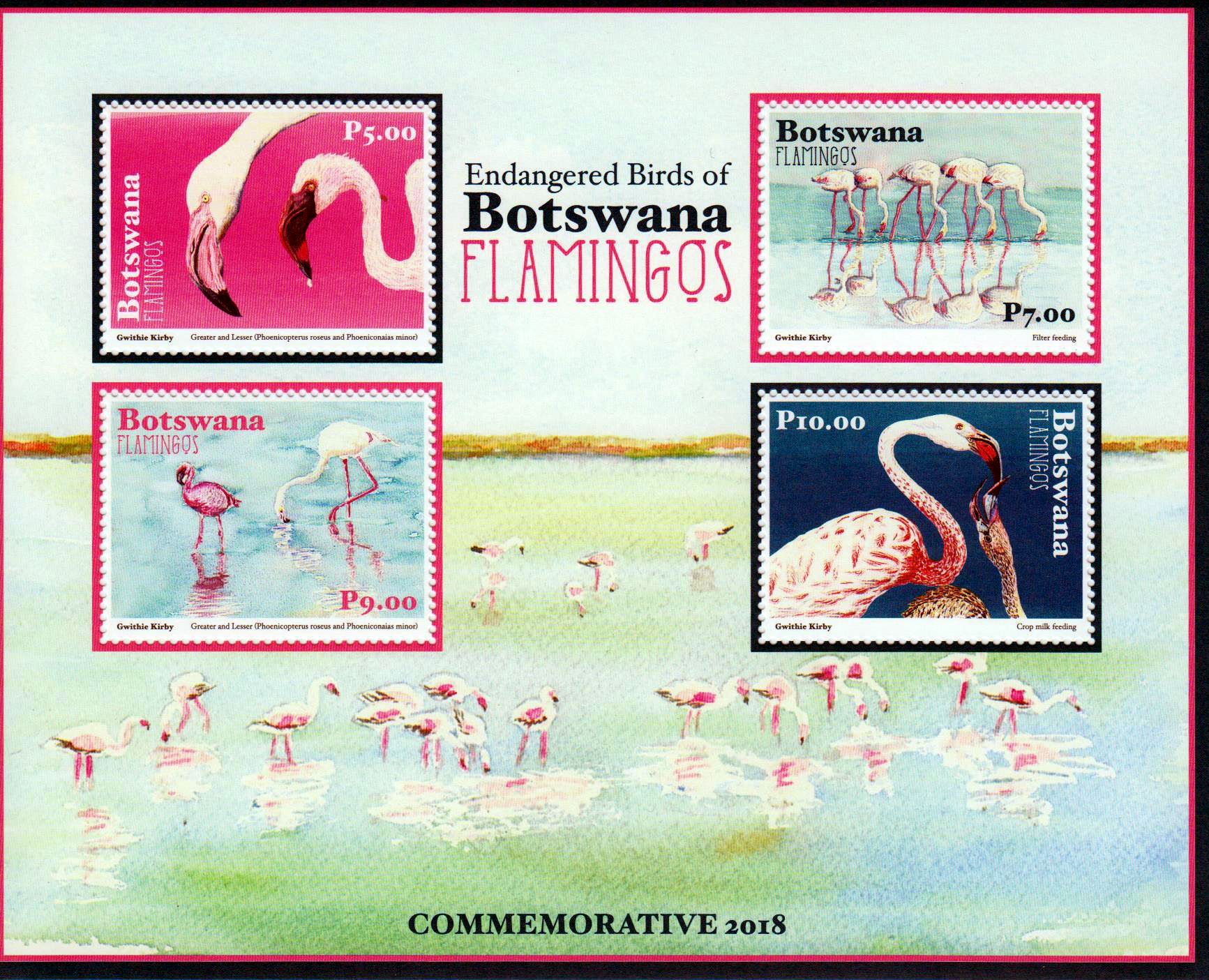 Block: Flamingos 2018