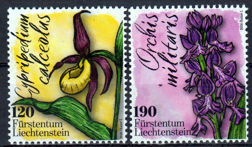 Orchideen 2026