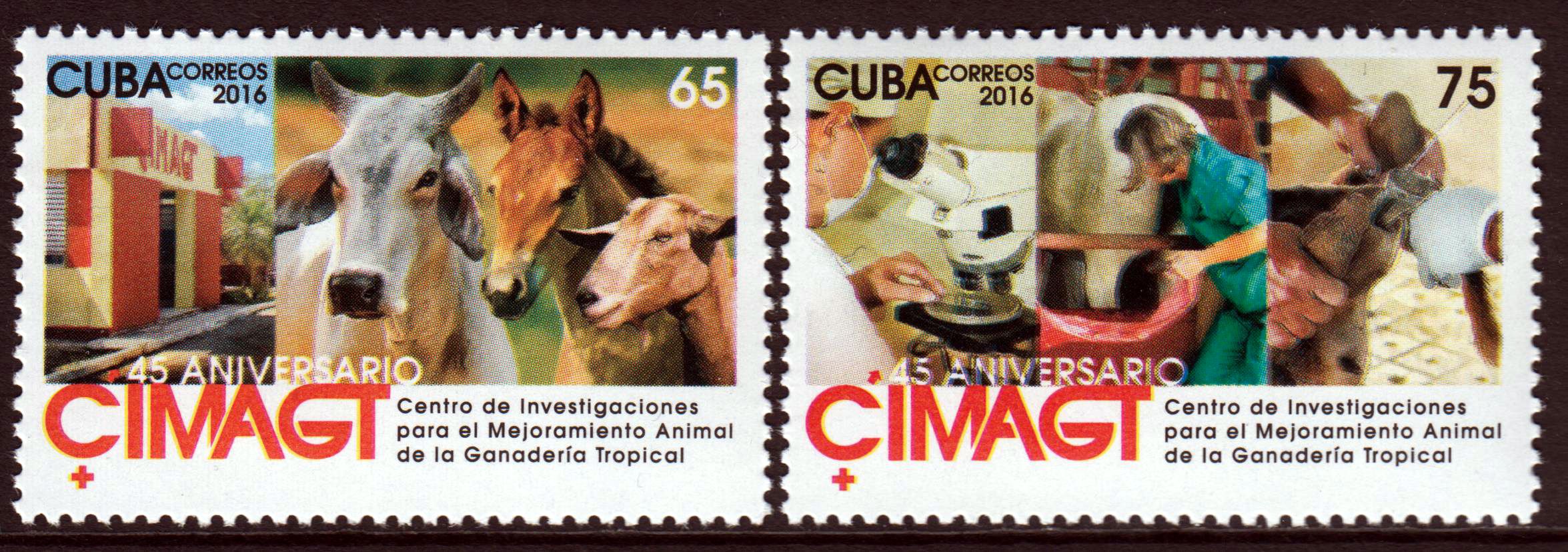 CIMAGT, Tiermedizin 2016 (P05)