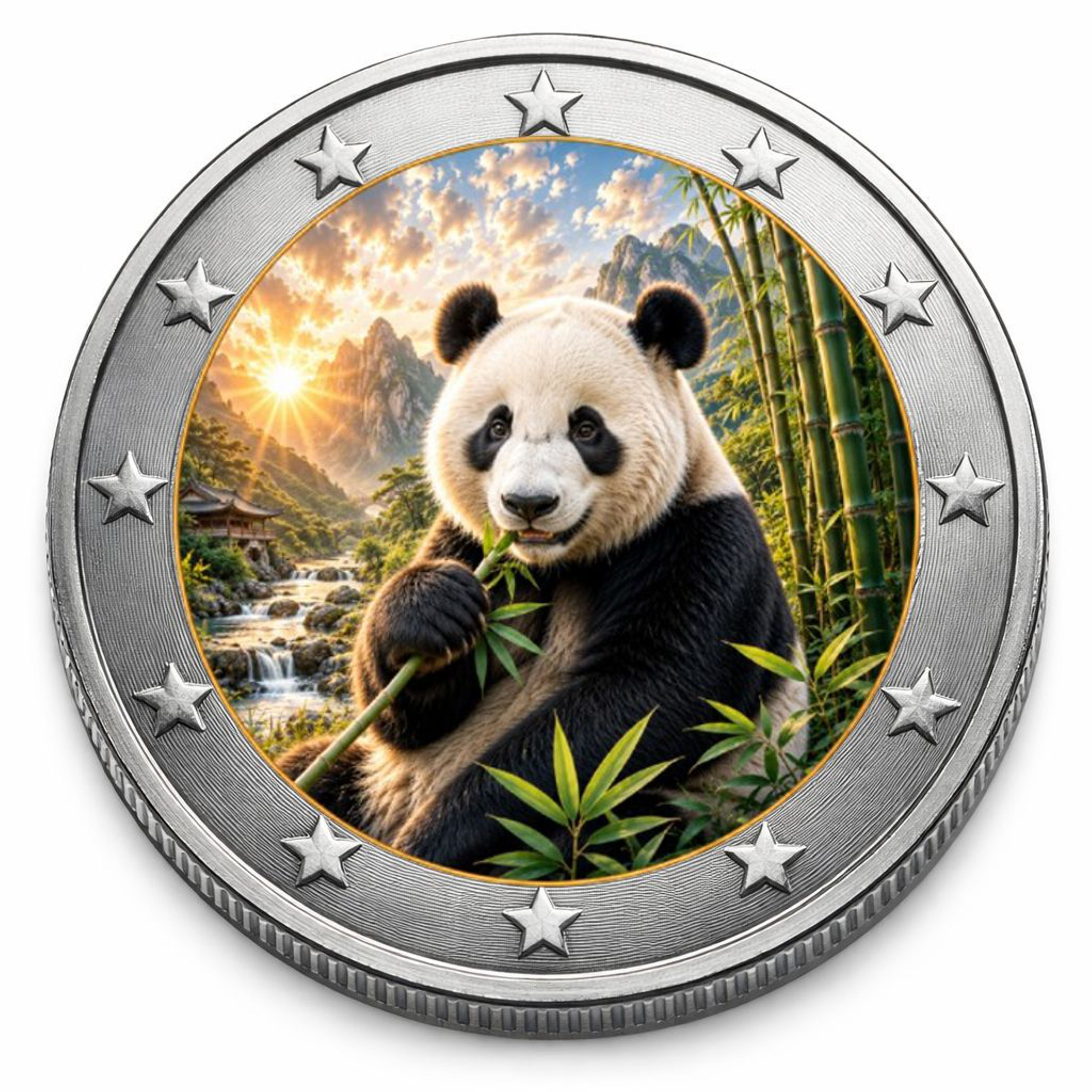2 Euro Münze coloriert "Panda" 2026