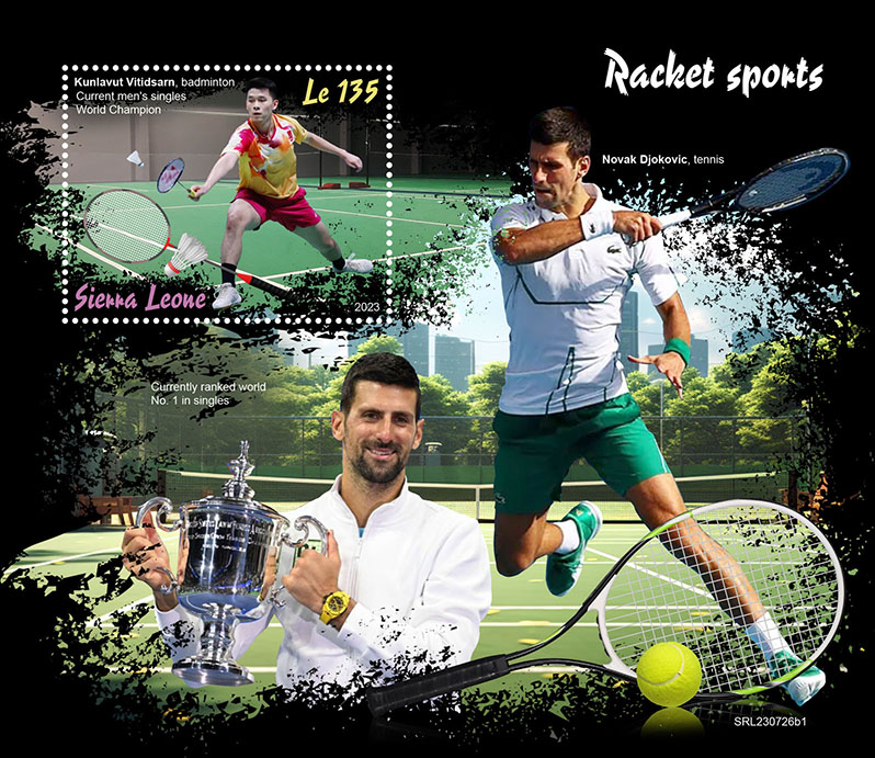 Block: Racket Sport 2023 I, Badminton