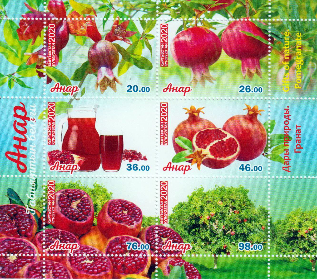 Block: Granatapfel 2020