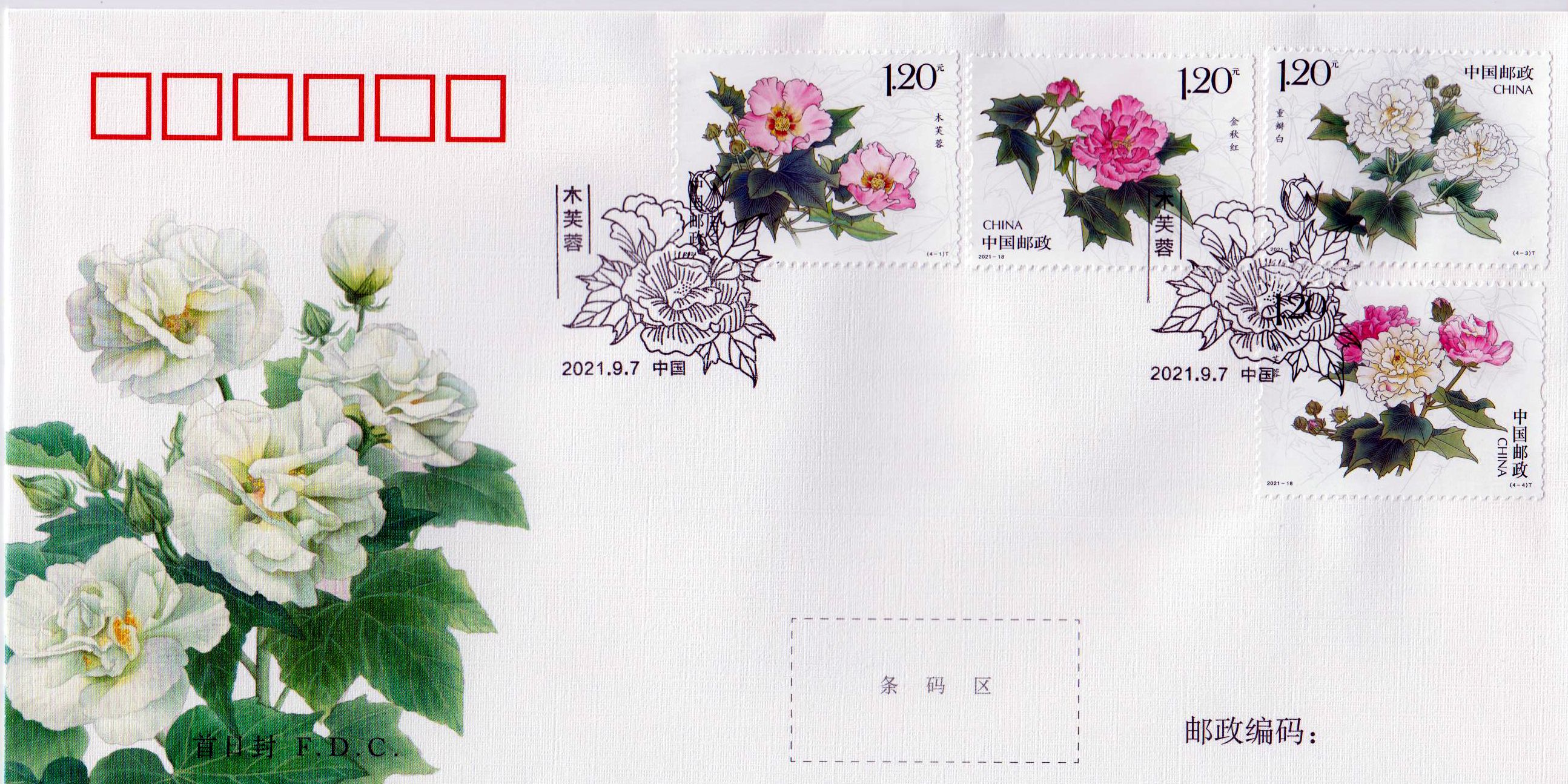 Cotton Rose (2021-18)
