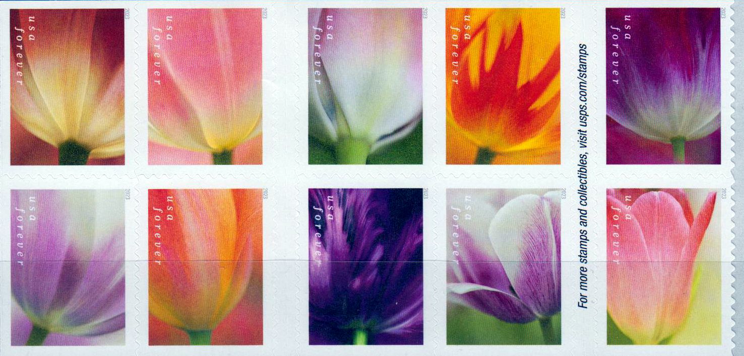 Tulpen 2023, sk, a.MH