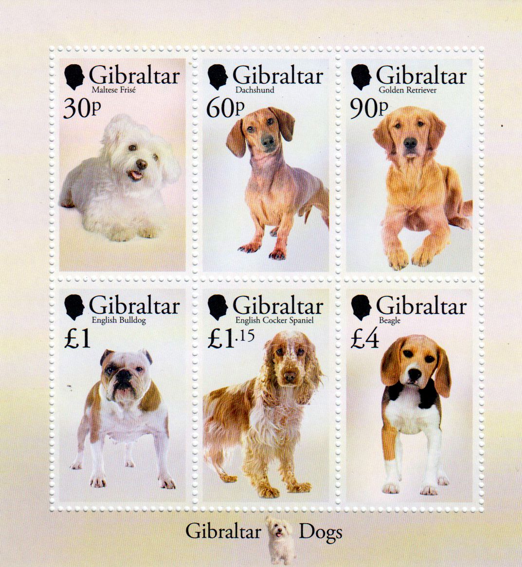 Block: Hunde 2026, Collie, Terrier, Weimaraner, Husky