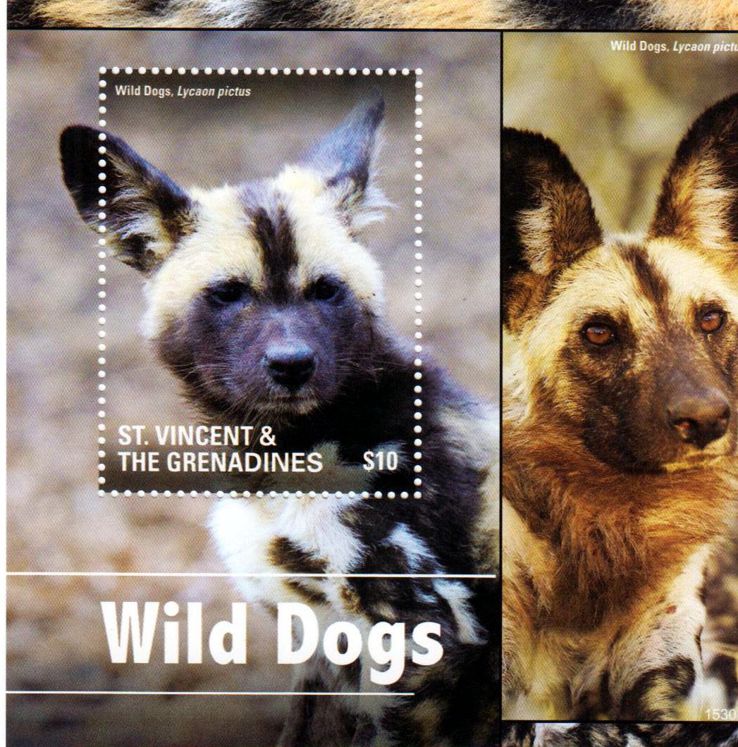 Block: Wildhunde II