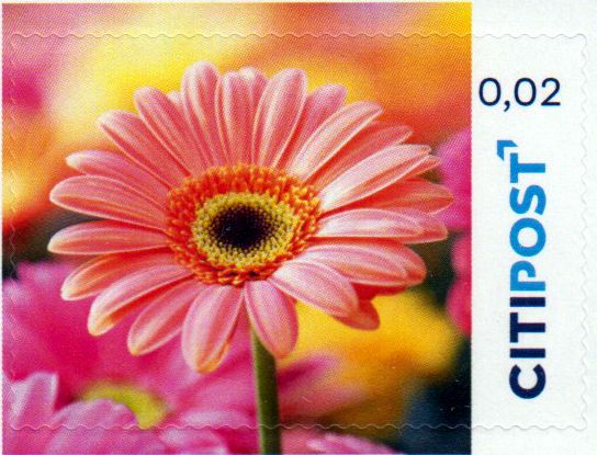 Ergänzungsmarke 2025, Gerbera