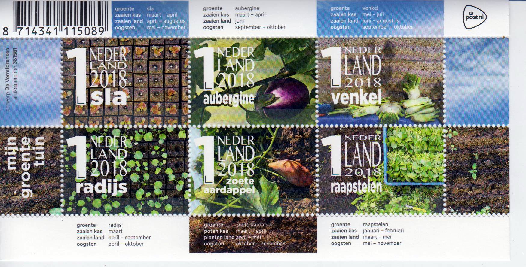 Block: Mein Gemüsegarten