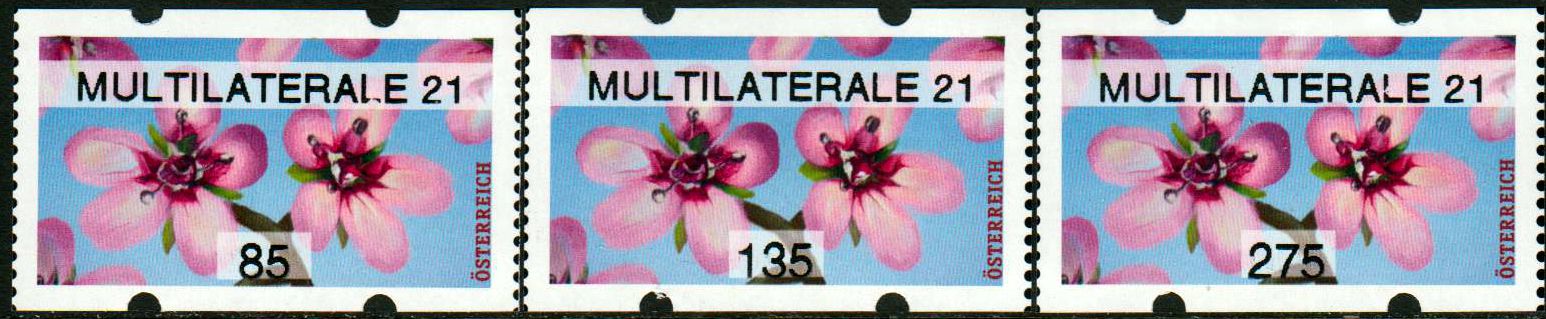 Sommer 2021, Reiherschnabel, mit Aufdruck "Multilaterale 21"