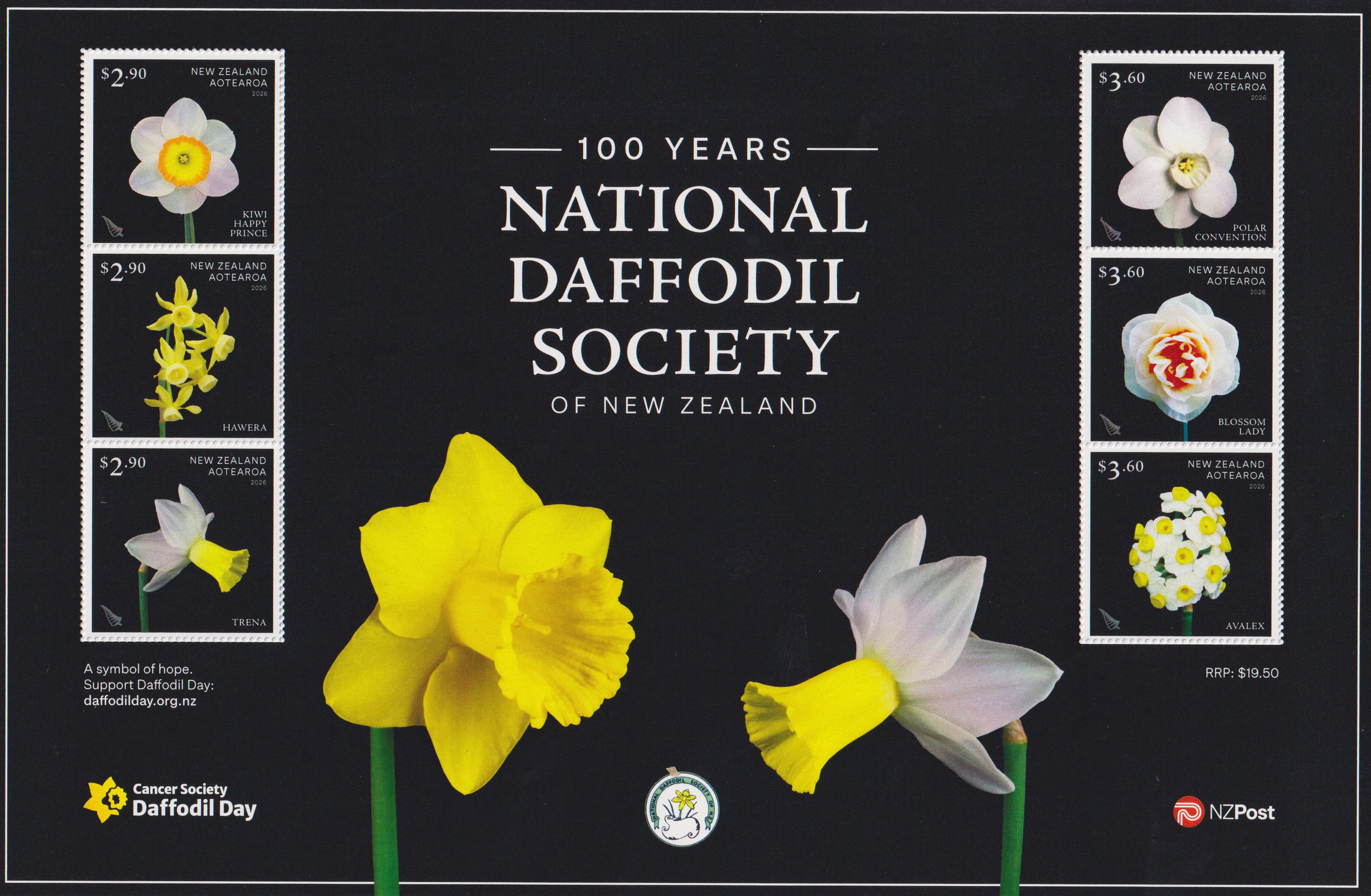 Block: 100 Jahre National Daffodil Society 2026, Blumen