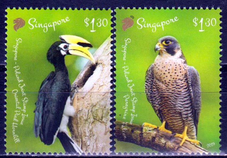 Vögel 2019, Polen GA