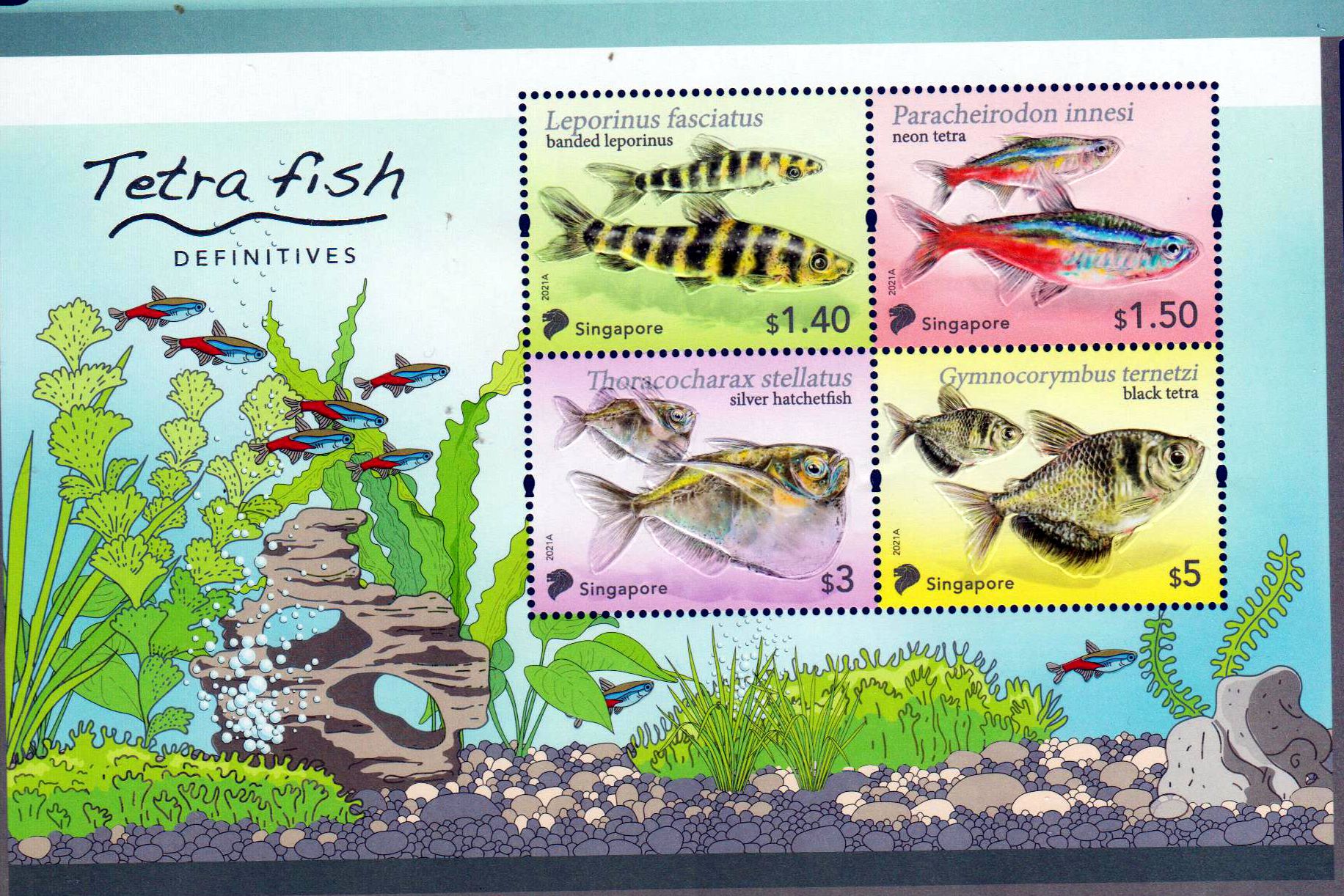 Block: Tetra Fische 2021, Collector sheet