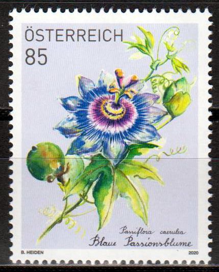 Passionsblume 2020, Treuemarke