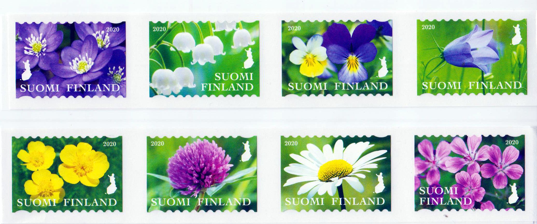 Wildblumen 2020, sk