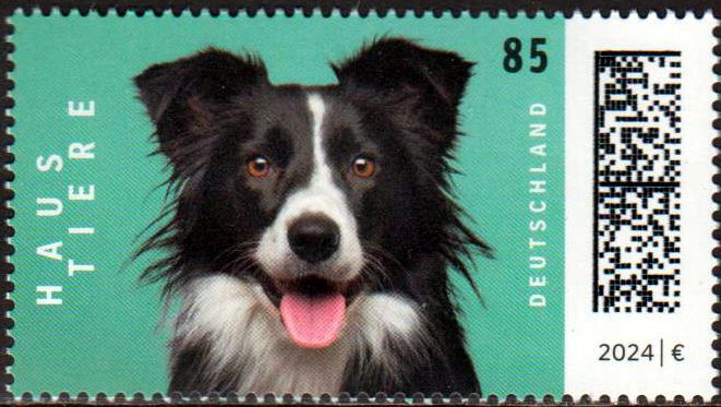 Haustiere 2024, Hund
