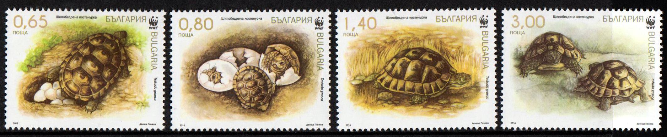 WWF 2016, Schildkröten