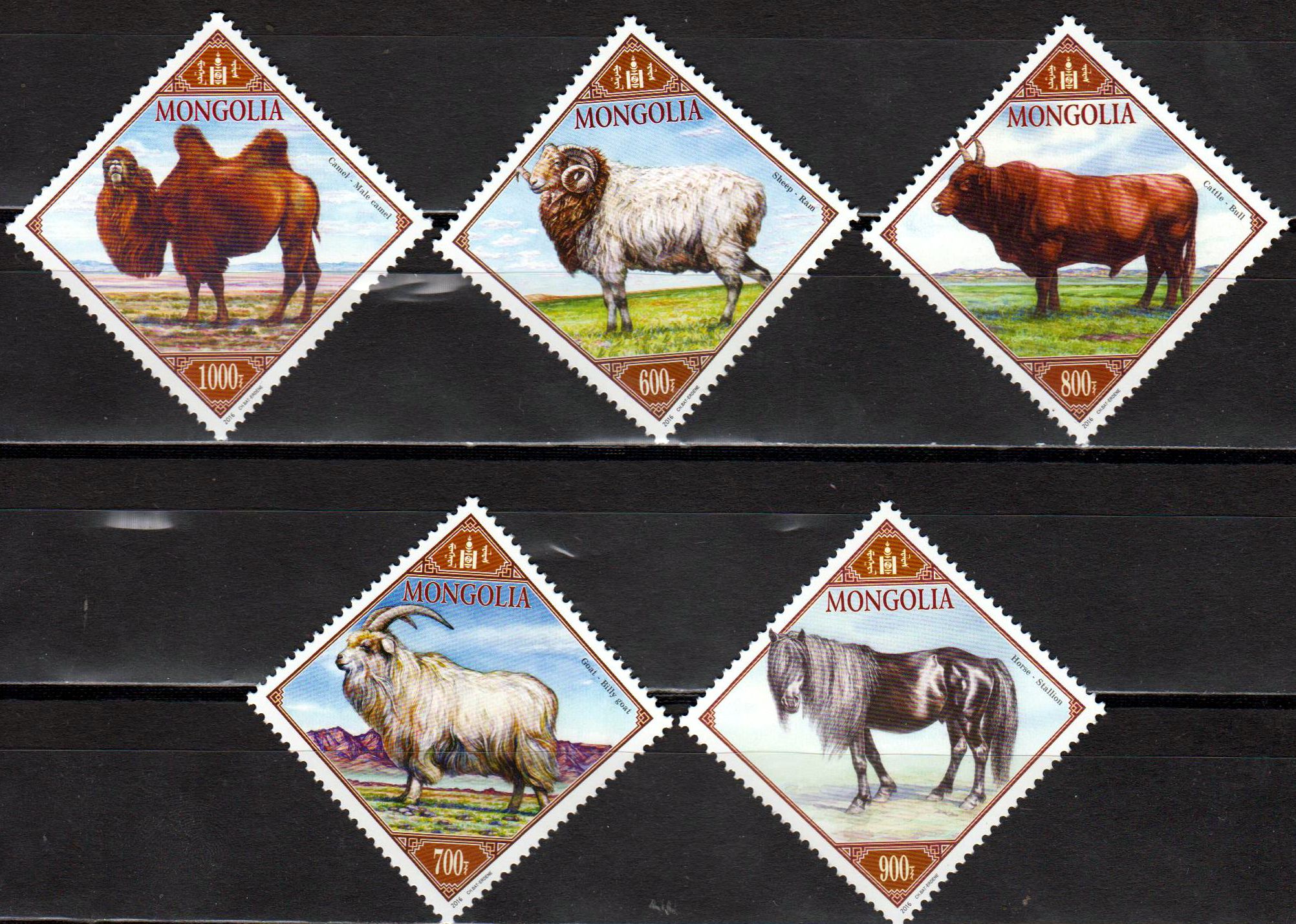 Tierhaltung 2016, Schaf, Kamel, Pferd