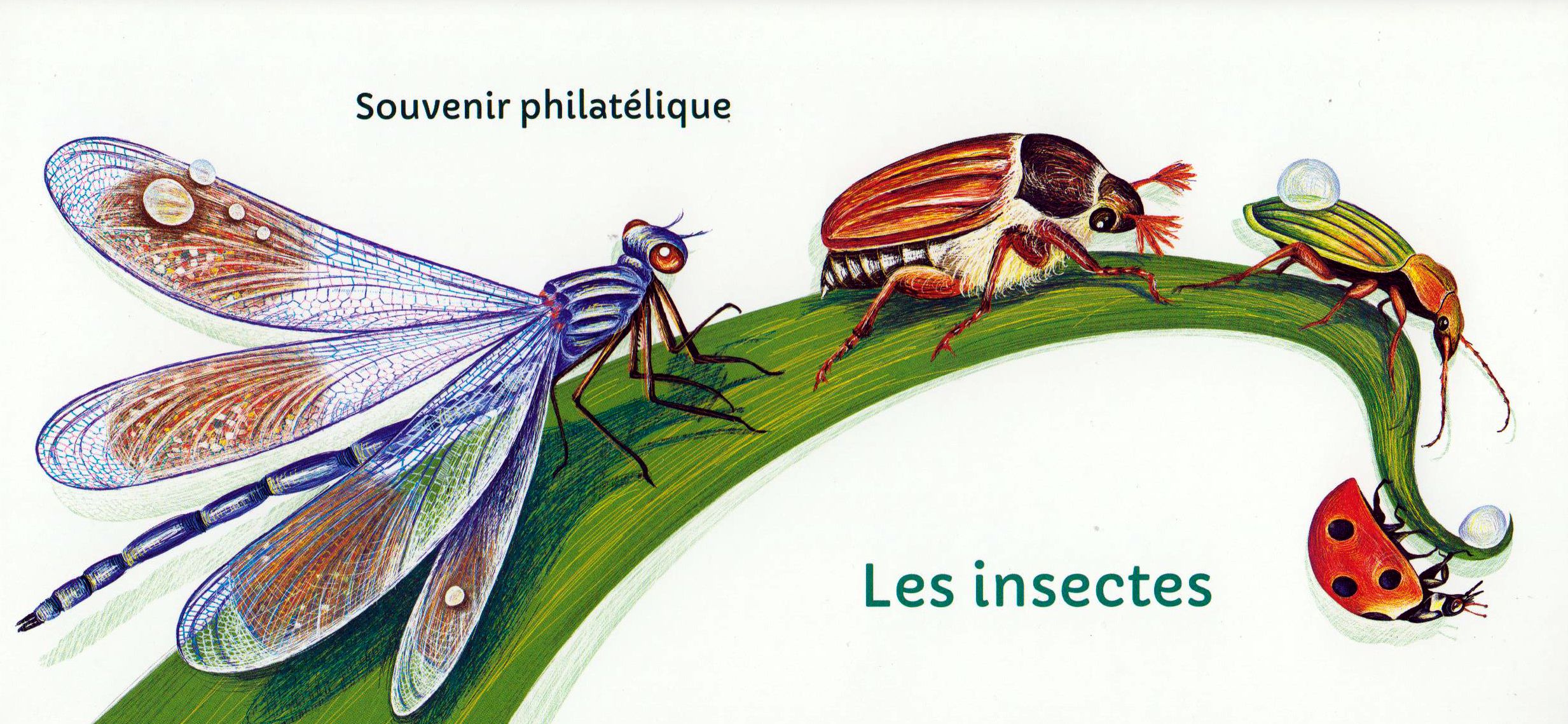 Block: Insekten, Souvenir