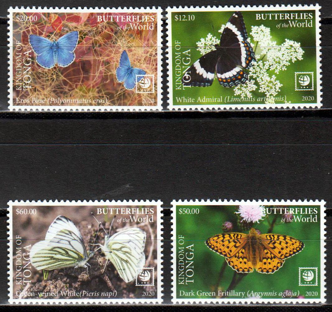 Schmetterlinge II  2020, Eros Blue, weißer Rand
