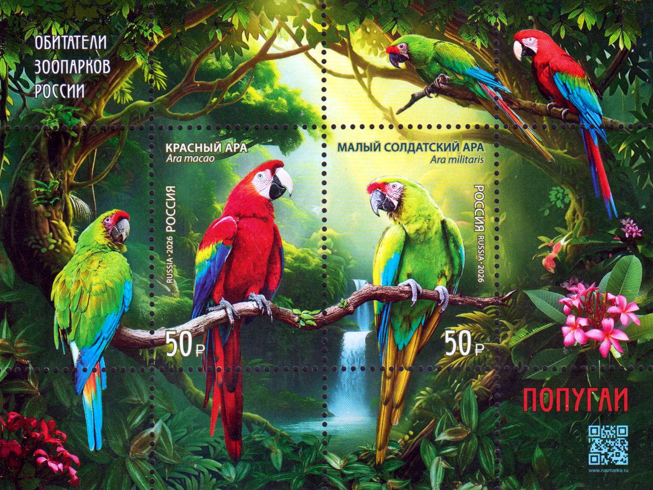 Block: Zoo-Bewohner 2026, Papageien