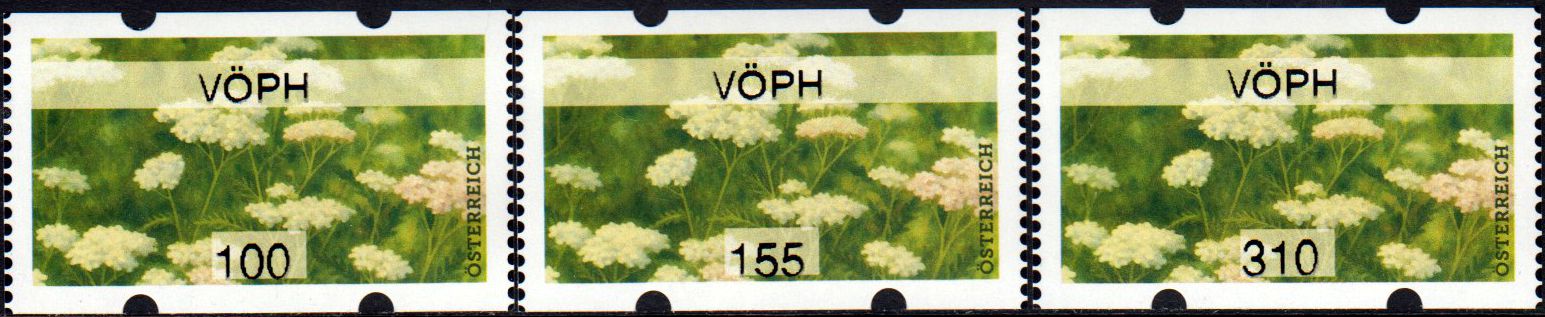 Sommer 2026, Schafgarbe, mit Aufdruck "VÖPH"