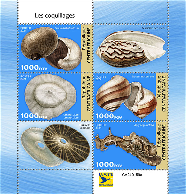 Muscheln 2024